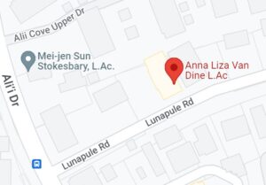 googleMap